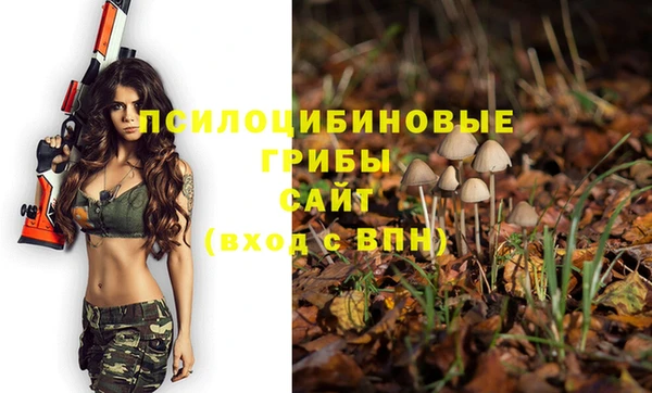 винт Алзамай